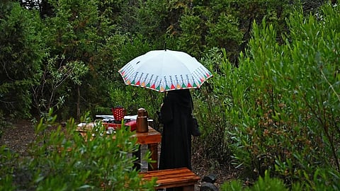 أمطار الجوزاء تضفي سحرًا على عسير.. الضباب يحتضن الجبال والمصطافون يتدفقون إلى المرتفعات