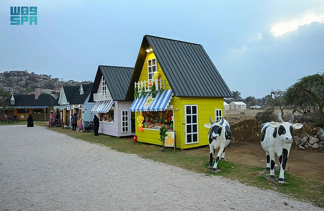 مشاهد رائعة من متنزه الأمير سلطان الوطني في أبها.. هنا تجربة سياحية تجمع الترفيه والطبيعة 61 sabq%2F2025 07