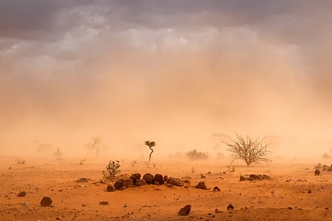 "الأرصاد" تتوقع ارتفاع الحرارة ورياحًا مثيرة للأتربة على الشرقية والرياض