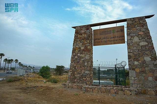 مشاهد رائعة من متنزه الأمير سلطان الوطني في أبها.. هنا تجربة سياحية تجمع الترفيه والطبيعة 51 sabq%2F2025 07 21%2Fq0gzcqpu%2FSqK2nbbpauKFJO8vH7nbUIdeCmvndqLASapmcri7