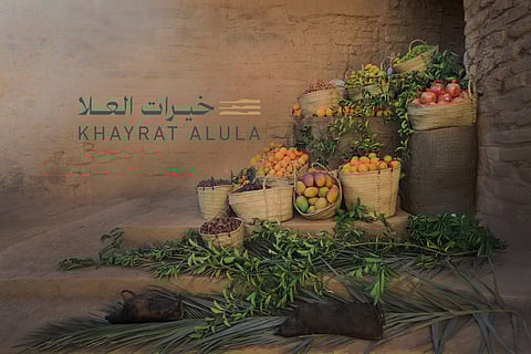 “خيرات العلا” يعيد الحياة لحقول المانجو والتين والعنب وسط فعاليات أسبوعية بسوق المنشية