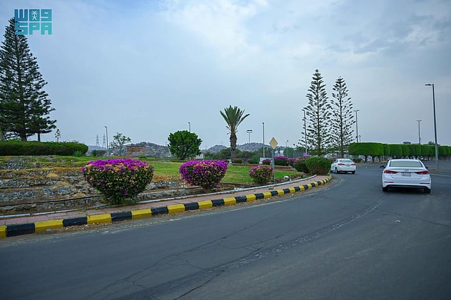 مشاهد رائعة من متنزه الأمير سلطان الوطني في أبها.. هنا تجربة سياحية تجمع الترفيه والطبيعة 52 sabq%2F2025 07