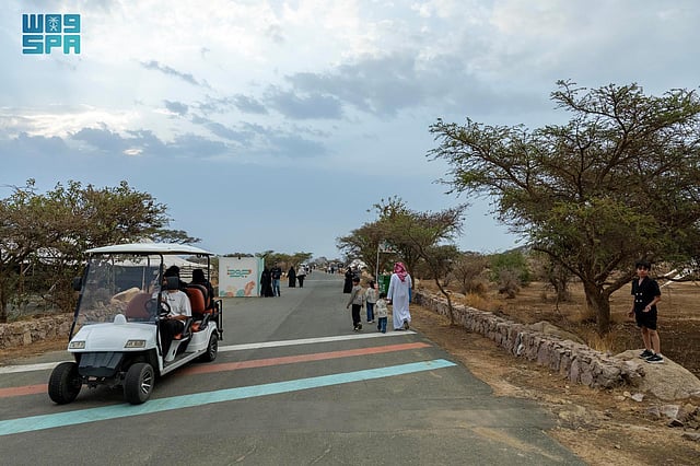 مشاهد رائعة من متنزه الأمير سلطان الوطني في أبها.. هنا تجربة سياحية تجمع الترفيه والطبيعة 70 sabq%2F2025 07