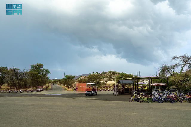 مشاهد رائعة من متنزه الأمير سلطان الوطني في أبها.. هنا تجربة سياحية تجمع الترفيه والطبيعة 50 sabq%2F2025 07 21%2Fzaplt2b1%2F0cotsw0vs0eUbjiNzbKHBD5JwuTS1O0lkDXC1rNU