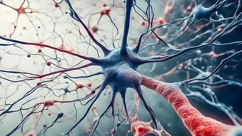 اكتشاف يحيّر العلماء.. تركيبة غامضة داخل الخلايا البشرية