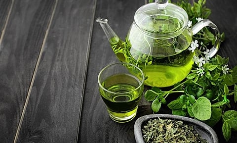 "النمر" يفاجئ الجميع: الشاي الأخضر لا ينقذ الكولسترول ولا يُعوّل عليه!