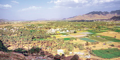 السياحة الريفية بنجران.. تجربة مليئة بالحياة وتعكس الهوية البيئية والتاريخ للمكان