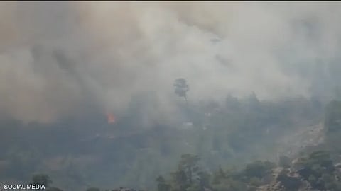 موجة حرّ شديدة تشعل أكثر من 200 حريق في تونس خلال 24 ساعة