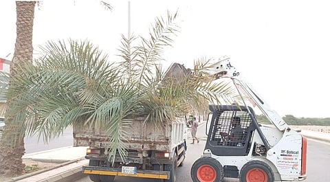 بلدية صبيا تتفاعل مع 3811 بلاغًا خلال النصف الأول من 2025 في إطار تحسين المشهد الحضري