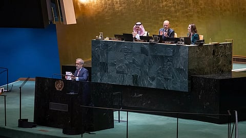 وزير الخارجية يشارك في ترؤس جلسة اليوم الثاني لمؤتمر حل الدولتين