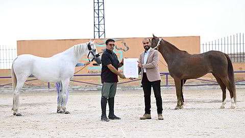 أبها .. ورشة "تصوير الخيل" تشهد تفاعلًا كبيرًا وإبداعات بصرية لافتة