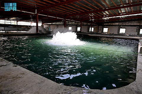 شاهد .. مشاريع الاستزراع السمكي بالشرقية ترفد الأسواق بـ44 ألف طن من الأسماك والروبيان