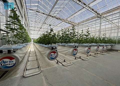 "استدامة" تُطلق النسخة الثانية من برنامج التدريب في إدارة البيوت المحمية