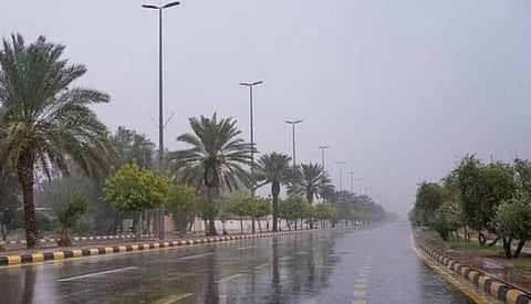 من بحر العرب إلى سماء المملكة.. أمطار الهريف النادرة تسبق الخريف وتفاجئ المزارعين