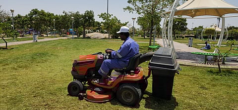 أمانة الطائف تعزز مشاريع التخضير وتهيئ بيئات حاضنة للأنشطة الترفيهية