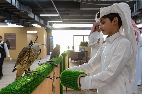 "هجرس".. أصغر صقار يخطف الأنظار ويعزز الموروث في المزاد الدولي للصقور 2025