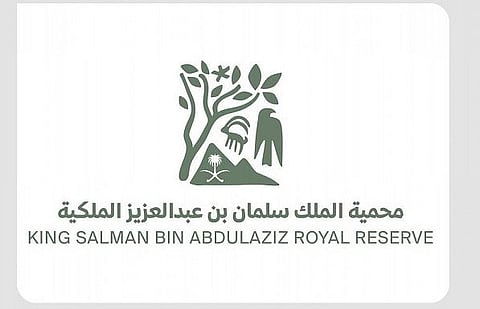 محمية الملك سلمان الملكية .. موطن بيئي مترامي الأطراف تجتمع فيه الطيور المهاجرة والمقيمة