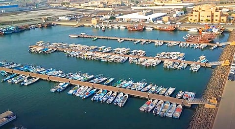 "بيئة القنفذة" تنظم ورشة توعوية عن شباك صيد الربيان