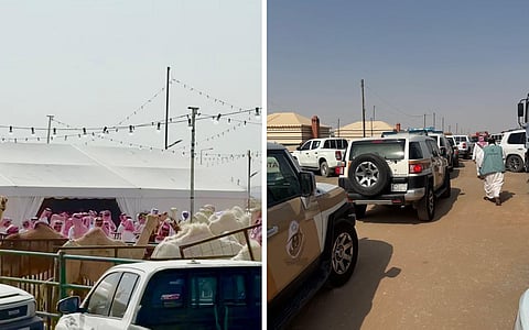 "بيئة الرياض" توقف مزادًا غير نظامي للإبل وتحذر: لا مكان للأنشطة المخالفة