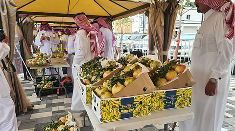 انطلاق مهرجان الرمان الخامس في سراة عبيدة بمشاركة 35 ركنًا