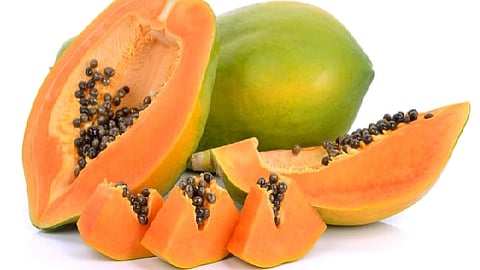 اكتشاف ثوري.. فاكهة شهيرة قد تنقذ حياة مرضى حمى الضنك!