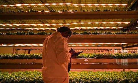 شركة طيران عربية بامتياز.. الوحيدة في العالم التي تمتلك "بوستانيكا".. تعرّف عليها 