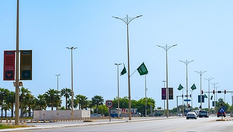 الشرقية تتزين بأكثر من 26 ألف عنصر جمالي احتفاءً باليوم الوطني الـ95