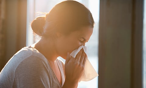 لا عث ولا غبار.. ودراسة: تقنية متطورة قد تنهي معاناة مرضى الحساسية