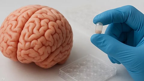 باحثون يطورون كبسولات لعلاج التهاب الدماغ وألزهايمر