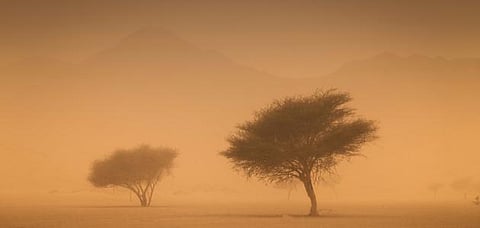 طقس اليوم … الأرصاد : رياح سطحية مثيرة للأتربة والغبار على أجزاء من الشرقية والرياض