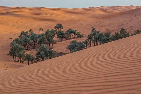 بالصور "العقل" الأثرية.. ذاكرة الزلفي العتيقة بين الرمال والنقوش