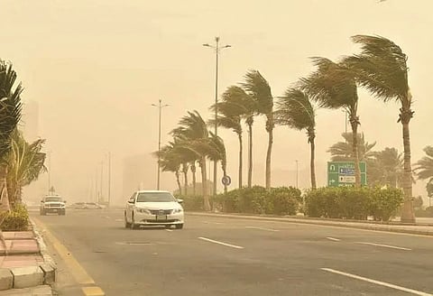 "الأرصاد": رياح نشطة على منطقة تبوك