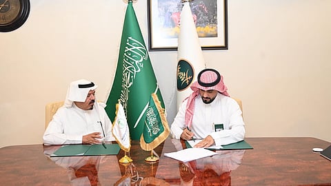 في تنسيق مع مركز الغطاء النباتي.. "بيئة مكة" تبدأ تأجير مواقع المخيمات والفعاليات الموسمية