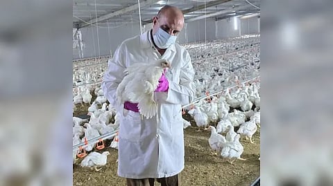 العراق يعلن تفشي السلالة "إتش5إن1" من إنفلونزا الطيور
