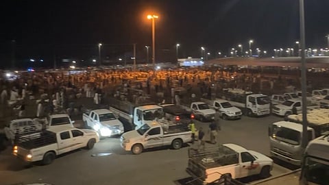 "شريطية" بمهن عامل وسائق وراعي يحوّلون أسواق المواشي ليلاً لممارسة البيع والشراء في القنفذة