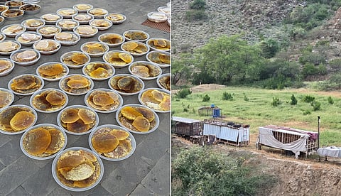 رحلة البحث عن "الذهب السائل".. "سبق" ترصد موسم عسل السدر في "قنا عسير"