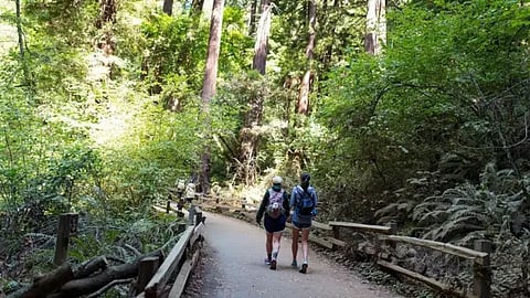 دراسة تكشف فوائد الانتباه إلى المساحات الخضراء خلال رياضة المشي