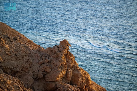 وادي أم الطين بالوجه.. سكون البحر وأسرار الصخر في حضن الطبيعة