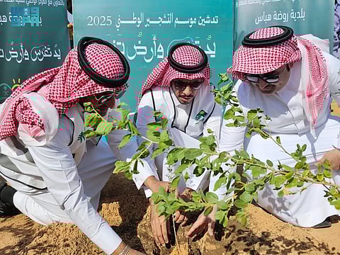 تشجير روضة هباس بـ5 آلاف شتلة ضمن حملة للغطاء النباتي في الحدود الشمالية