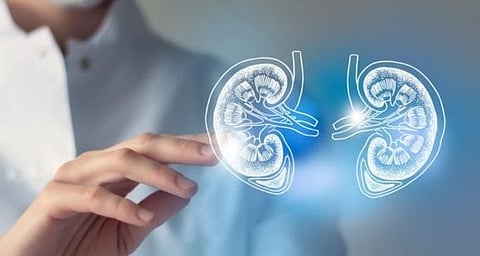 دراسة صادمة: أمراض الكلى أصبحت من بين أكثر عشرة أسباب للوفاة عالمياً