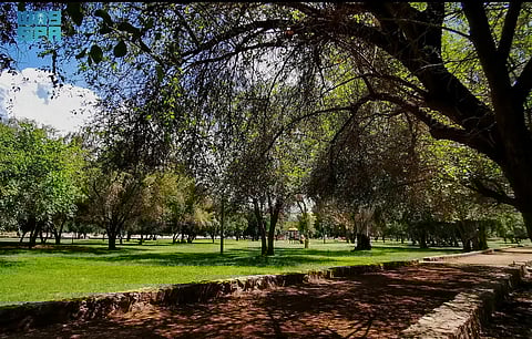 أمانة نجران تهيئ المتنزهات والحدائق لاستقبال الزوّار