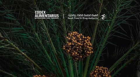 المملكة تقود إنجازًا دوليًا باعتماد أول مواصفة عالمية للتمور الطازجة