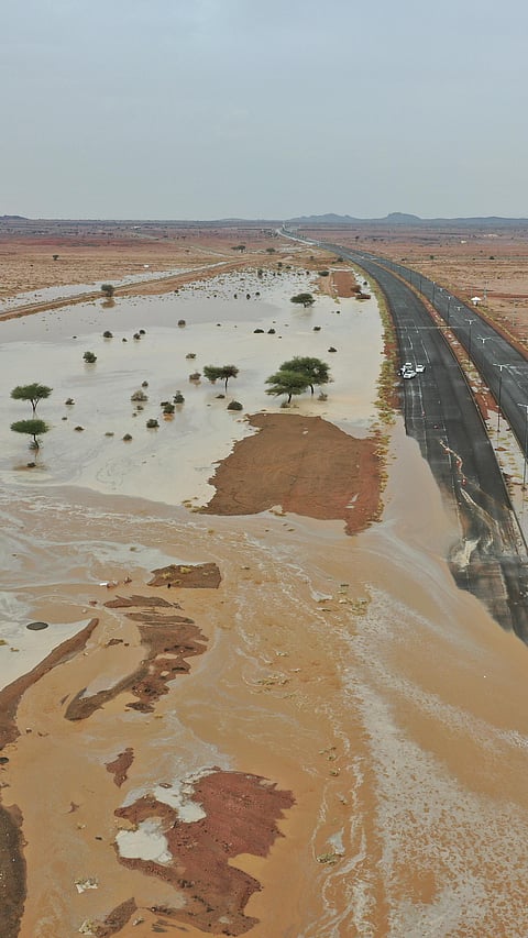 شاهد.. وادي الحسو يرسم لوحات جمالية ومناظر طبيعية شرق المدينة المنوّرة