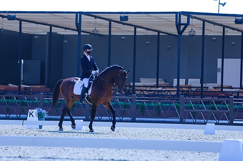 ثماني بطولات للترويض في موسم اتحاد الفروسية 2025-2026 بينها سبع بطولات وطنية