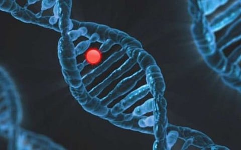 دراسة دولية تُحدث مفاجأة: طفرة في جين واحد قد تسبّب الفصام والاكتئاب والقلق