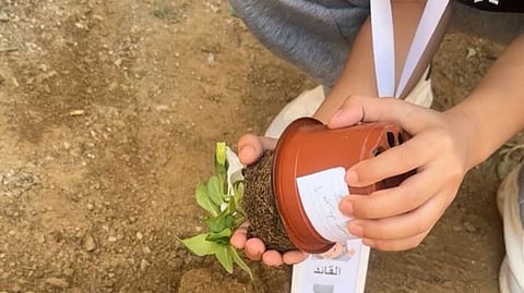 "مدرسة الحدبة" للطفولة المبكرة بقنا تُطلق مبادرة "أرضنا الخضراء" وتحول فناءها لرقعة خضراء بمشاركة واسعة