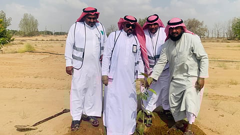 "بيئة القنفذة” تطلق مرحلة جديدة من مبادرة" الساحل الأخضر” بزراعة 2000 شجرة فاكهة