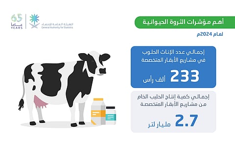 "الإحصاء": 1.3 مليون طن إنتاج الدجاج اللاحم في 2024 بارتفاع 12.9%