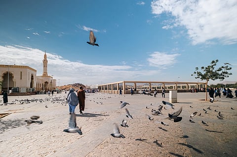 شتاء المدينة المنورة.. موسم ثقافي وسياحي يعانق التاريخ والترفيه