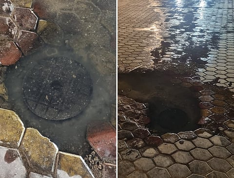 بالفيديو.. مستنقعات "المجاري" تُهدّد الصحة والبيئة وسط شقراء